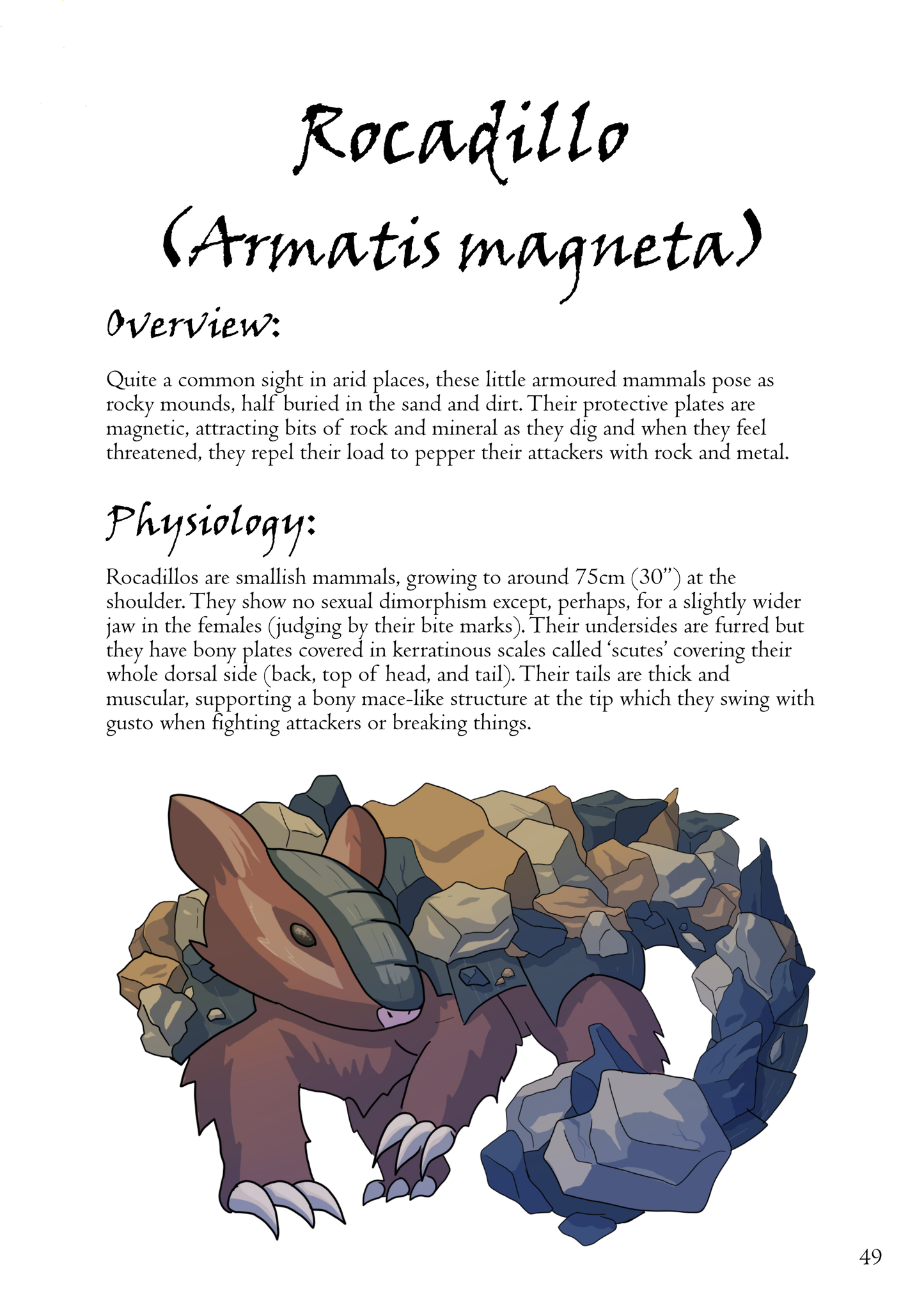 Tooth & Claw and Beasts of the Sea